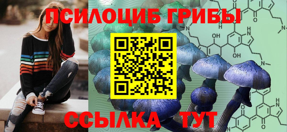 Псилоцибиновые грибы MAGIC MUSHROOMS  Вход с VPN  цены наркотик  Псилоцибиновые грибы ЛСД  Северск 