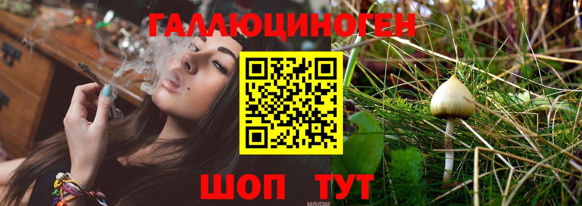 Псилоцибиновые грибы GOLDEN TEACHER Северск
